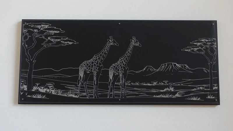 Bild - Afrika Giraffen