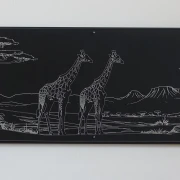 Bild - Afrika Giraffen