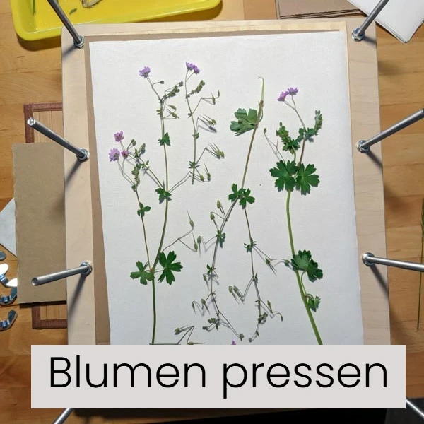 Blumenpresse L DIN A5