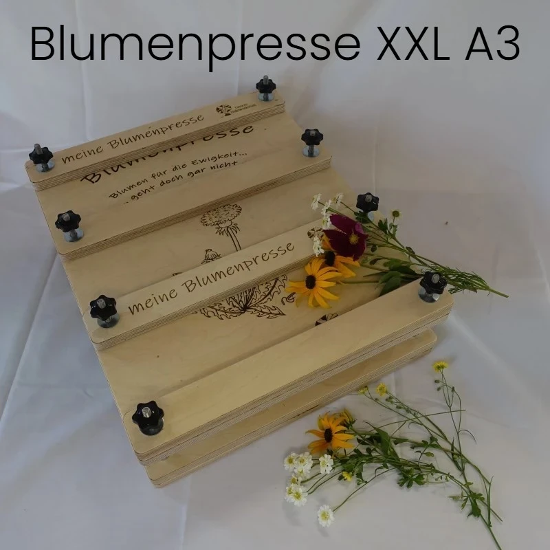 Blumenpresse XXL DIN A3