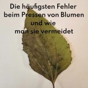 Häufige Fehler beim Blumenpressen - und wie man sie vermeidet