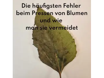 Häufige Fehler beim Blumenpressen - und wie man sie vermeidet