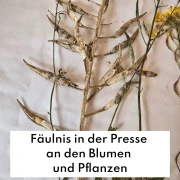 Häufige Fehler beim Blumenpressen - und wie man sie vermeidet