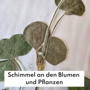 Häufige Fehler beim Blumenpressen - und wie man sie vermeidet